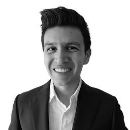 Ulises Ceja